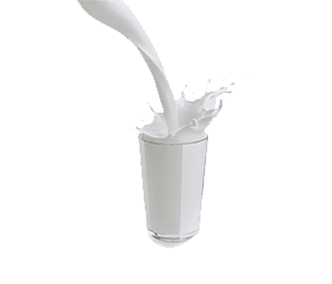 Milk