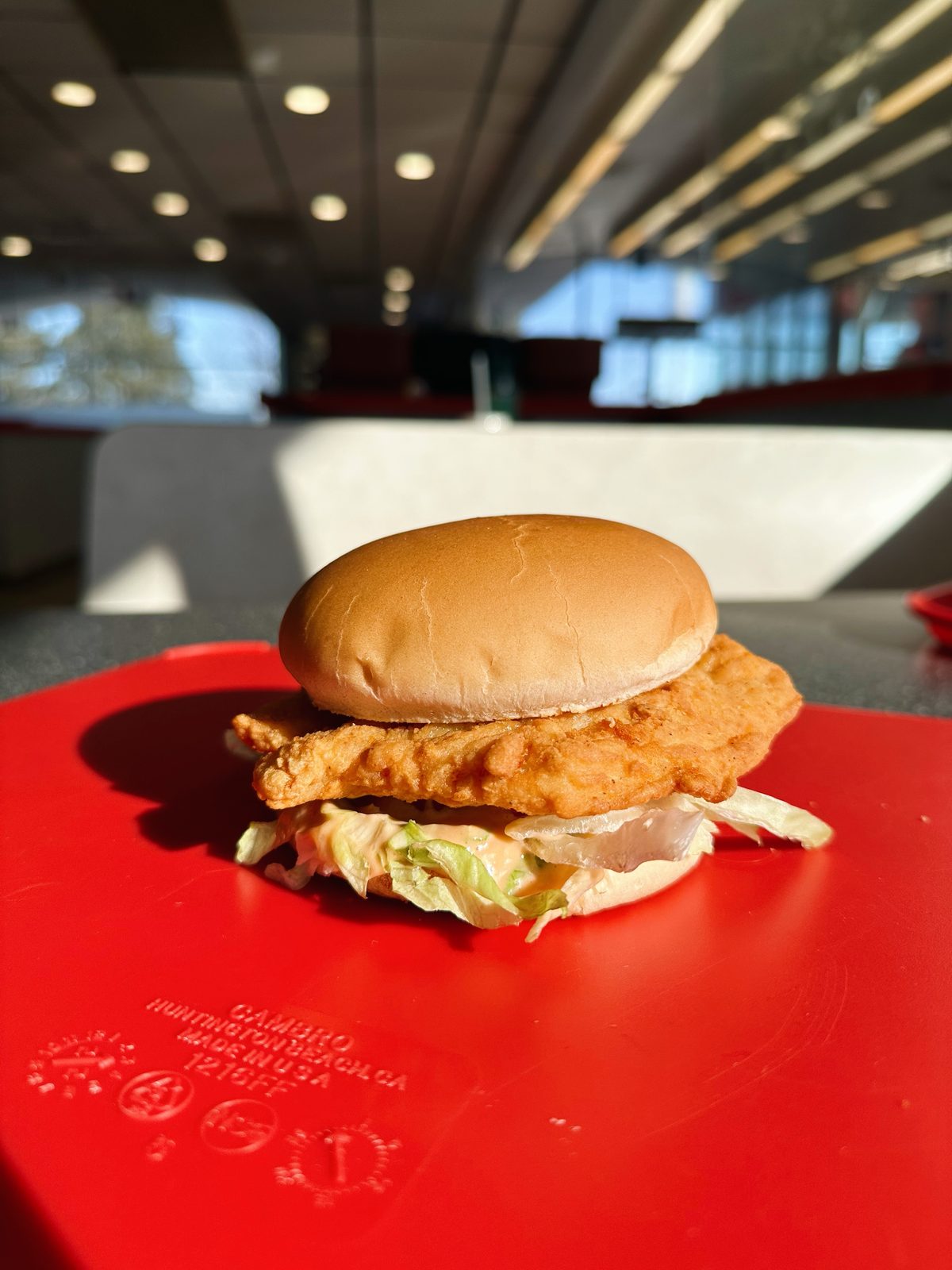 Breaded chicken sandwich with lettuce and Bronco's sauce on a red tray in the dining room